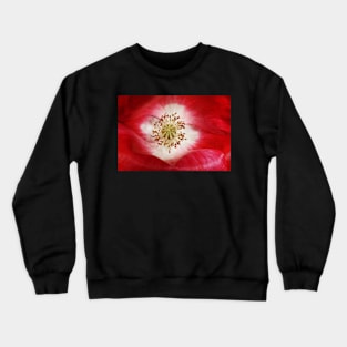 Poppy Kiss Crewneck Sweatshirt